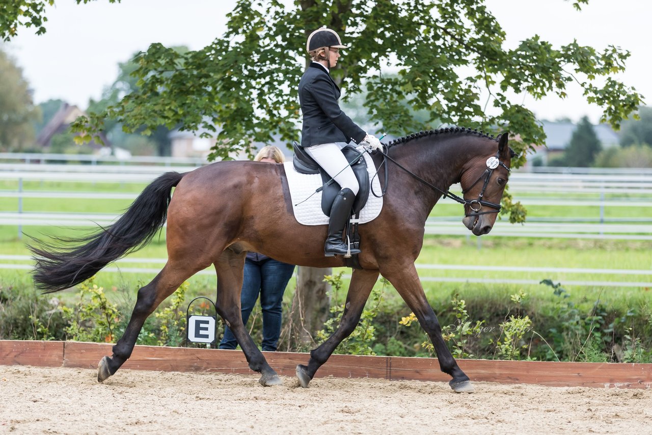 Bild 658 - Fuchshof Turnier
